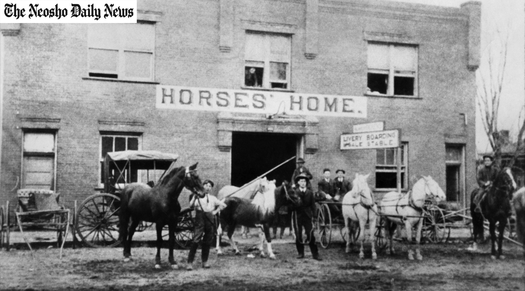 Horses of Neosho